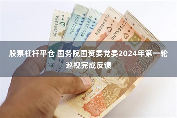 股票杠杆平仓 国务院国资委党委2024年第一轮巡视完成反馈