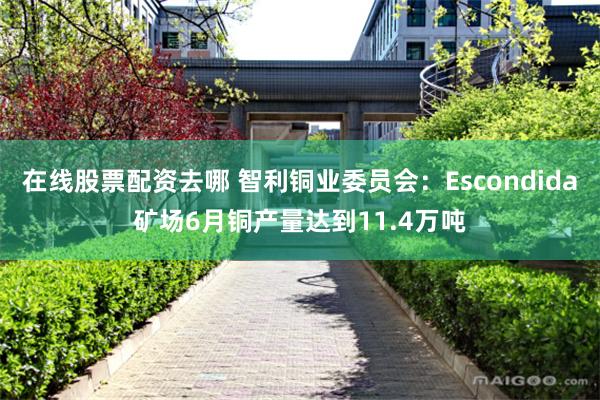 在线股票配资去哪 智利铜业委员会：Escondida矿场6月铜产量达到11.4万吨