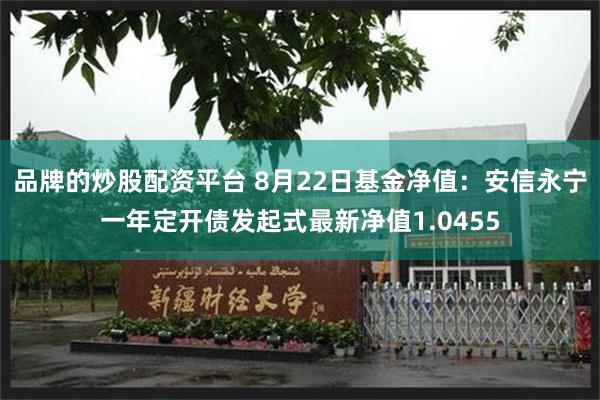 品牌的炒股配资平台 8月22日基金净值：安信永宁一年定开债发起式最新净值1.0455