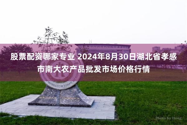 股票配资哪家专业 2024年8月30日湖北省孝感市南大农产品批发市场价格行情