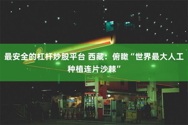 最安全的杠杆炒股平台 西藏：俯瞰“世界最大人工种植连片沙棘”