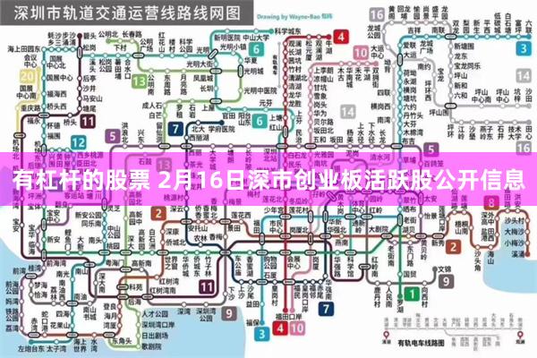 有杠杆的股票 2月16日深市创业板活跃股公开信息