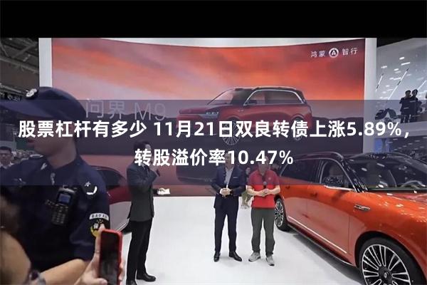 股票杠杆有多少 11月21日双良转债上涨5.89%，转股溢价率10.47%