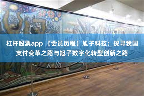 杠杆股票app 【会员历程】旭子科技：探寻我国支付变革之路与旭子数字化转型创新之路