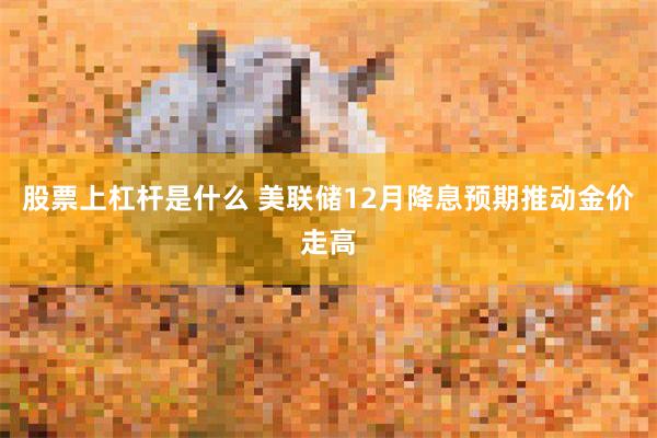 股票上杠杆是什么 美联储12月降息预期推动金价走高