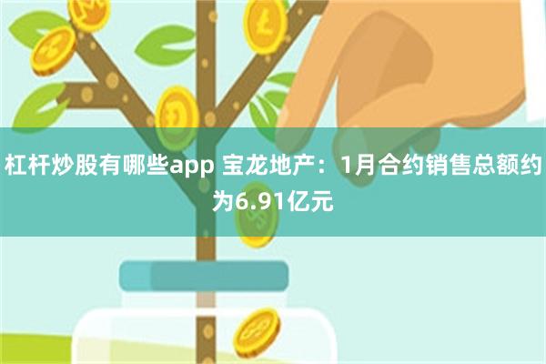 杠杆炒股有哪些app 宝龙地产：1月合约销售总额约为6.91亿元