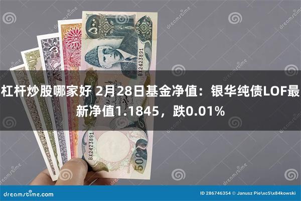 杠杆炒股哪家好 2月28日基金净值：银华纯债LOF最新净值1.1845，跌0.01%