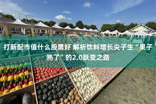 打新配市值什么股票好 解析饮料增长尖子生“果子熟了”的2.0跃变之路