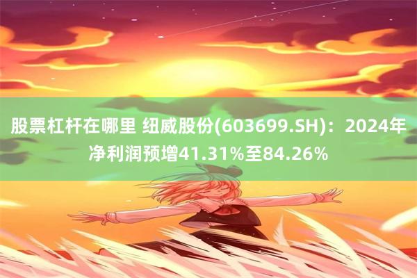 股票杠杆在哪里 纽威股份(603699.SH)：2024年净利润预增41.31%至84.26%